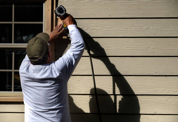 Best Siding Painting and Refinishing  in Wellman, IA